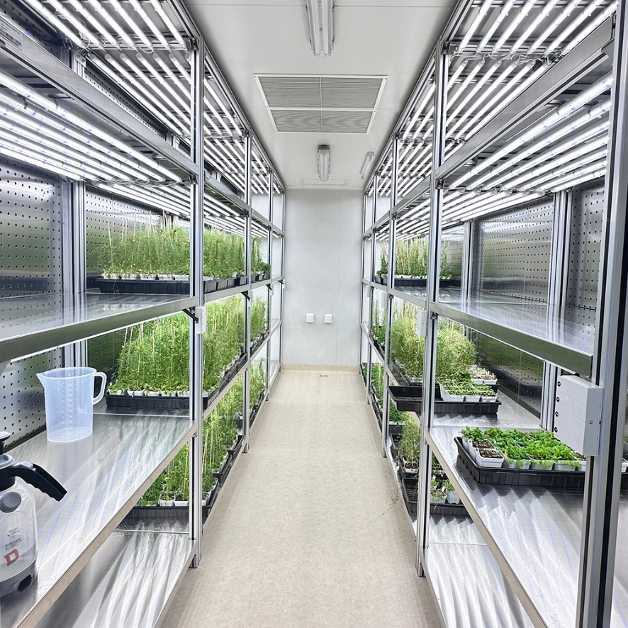 Original Manufacturer Low Cost Smart Growing Hydroponic Container Farm Agricultural Greenhouse Smart Farm Vegetable Container Greenhouse