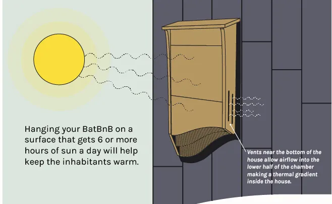 Bat House Interior Design