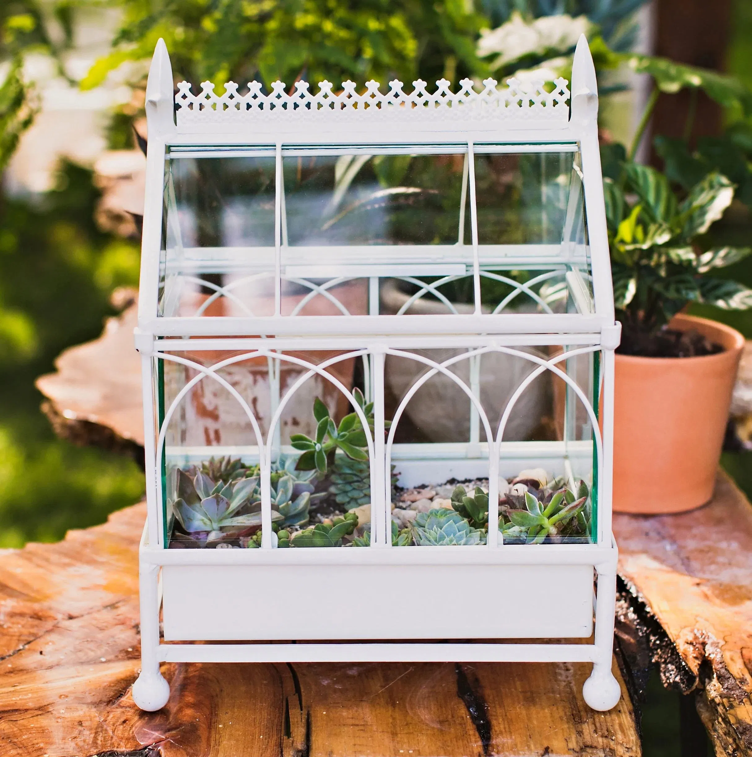 Unique Plant Terrarium Glass Containers Metal Display Case for Succulent Planter