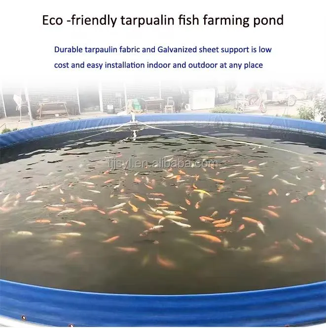 Biofloc fish farming equipment