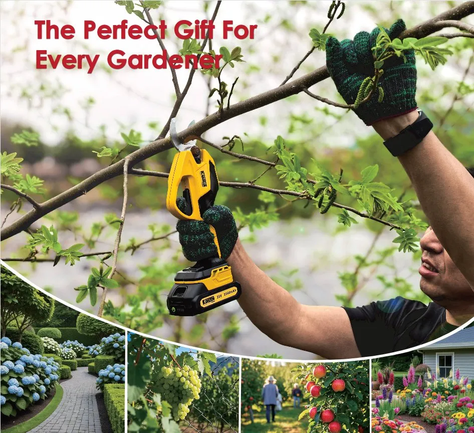 Pruning Shears Display