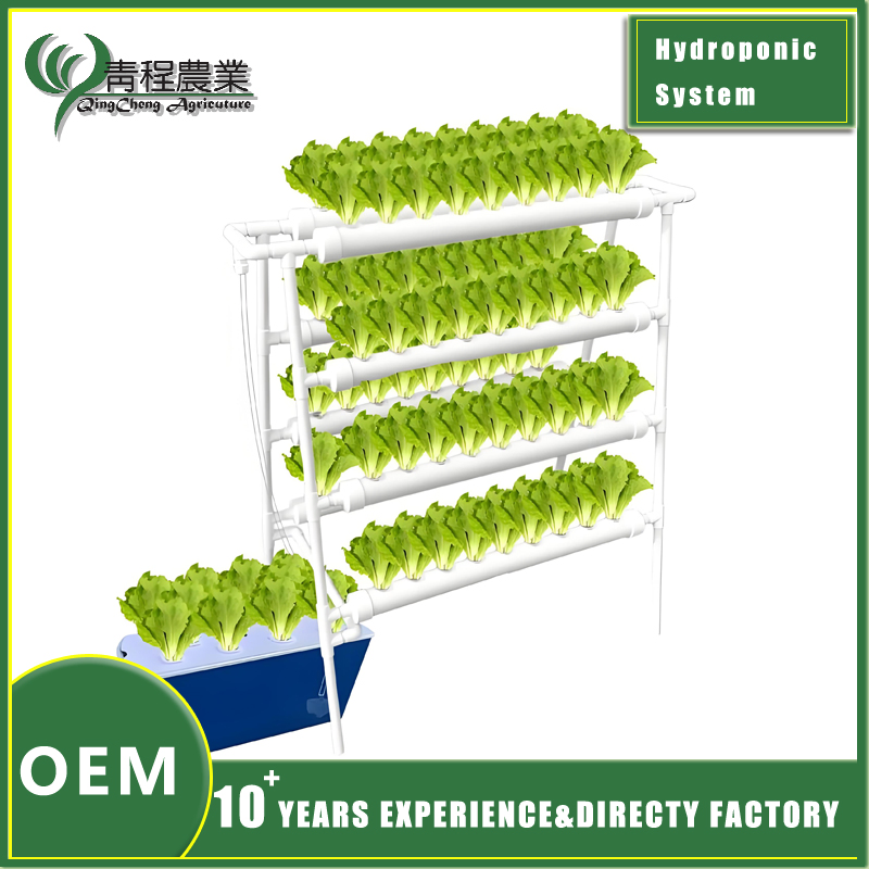New Design Double-Sided Hydroponic System Indoor Small Vertical for Home Gardening Farms