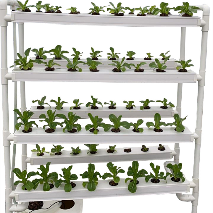 Indoor Vertical Hydroponic Nft Channel System for Leafy Vegetables