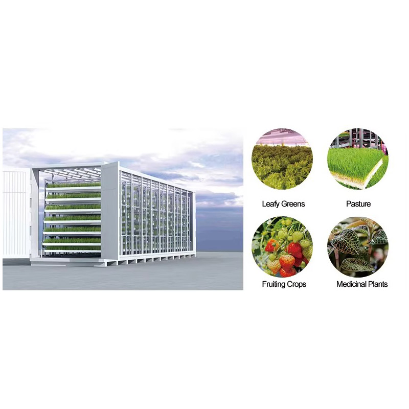 Agg 40 Hq Hydroponic Container Gardening Vertical Hydroponic Container Farm Integrated Cargo Aquaculture System Metal Direct Shipping Integrated Cargo
