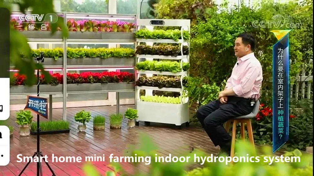 Vertical Hydroponics Overview