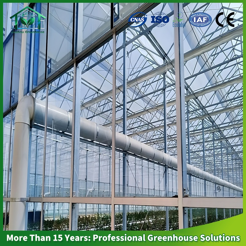 Multi-Span Venlo Glass Greenhouse Green House for Nursery Tomato Cucumber Leafy Vegetables Flowers with Hydroponic Automatic Irrigation System Long Life