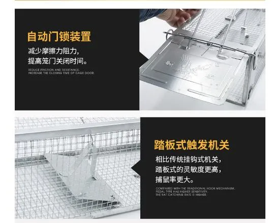 Eco-Friendly Pest Control