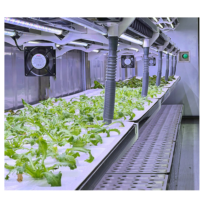 Agg 40f Automatic Animal Fodder Sprout Container / Hydroponic Barley Growing System Plant Growing Containers Hydroponic Farm for Growing Herbs, Flowers