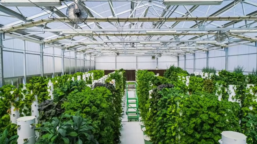 Agg Commercial Vertical Hydroponic Tower System for Greenhouse