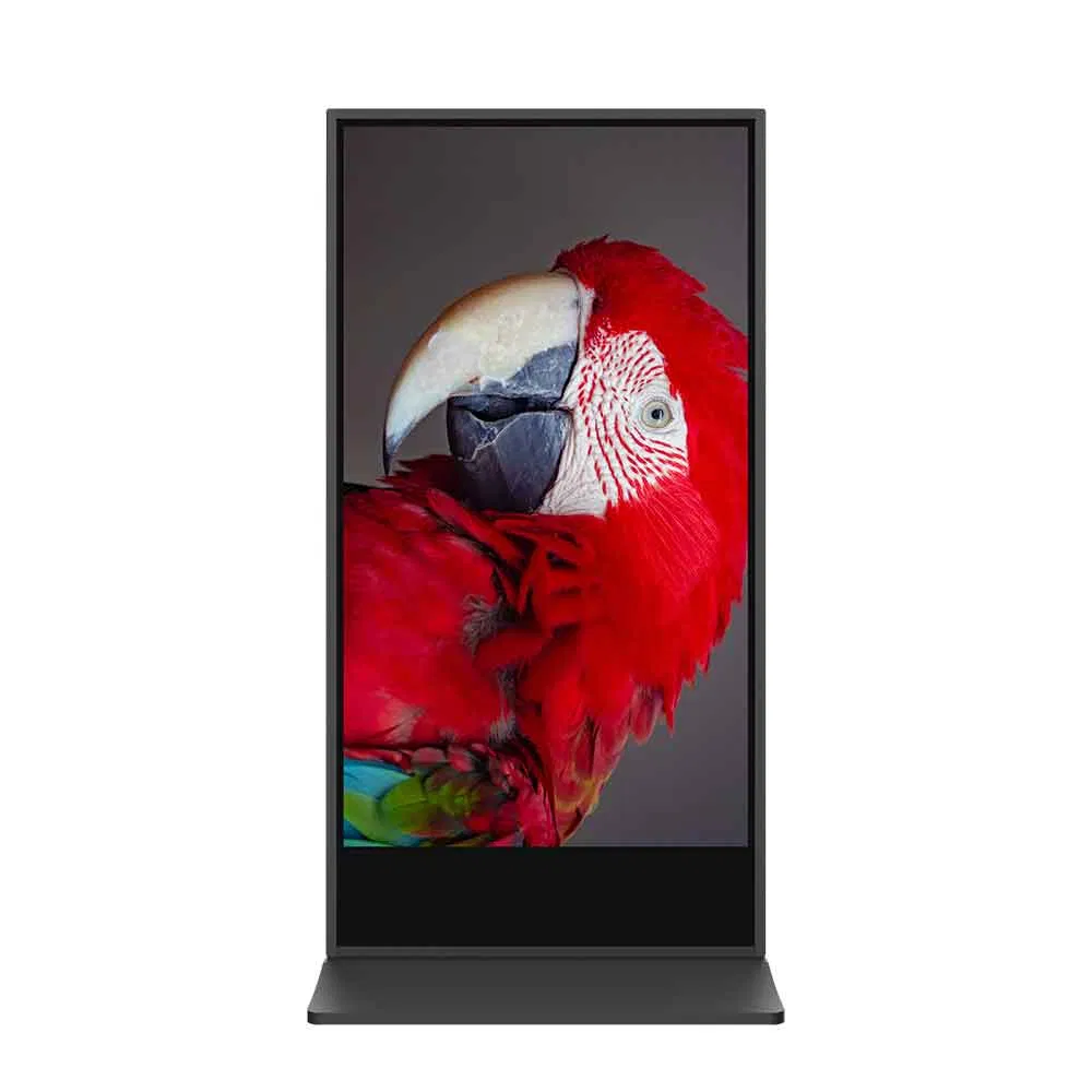 China Digital Signage and Displays Indoor Advertising Display Suppliers LED Display Screen for Shops