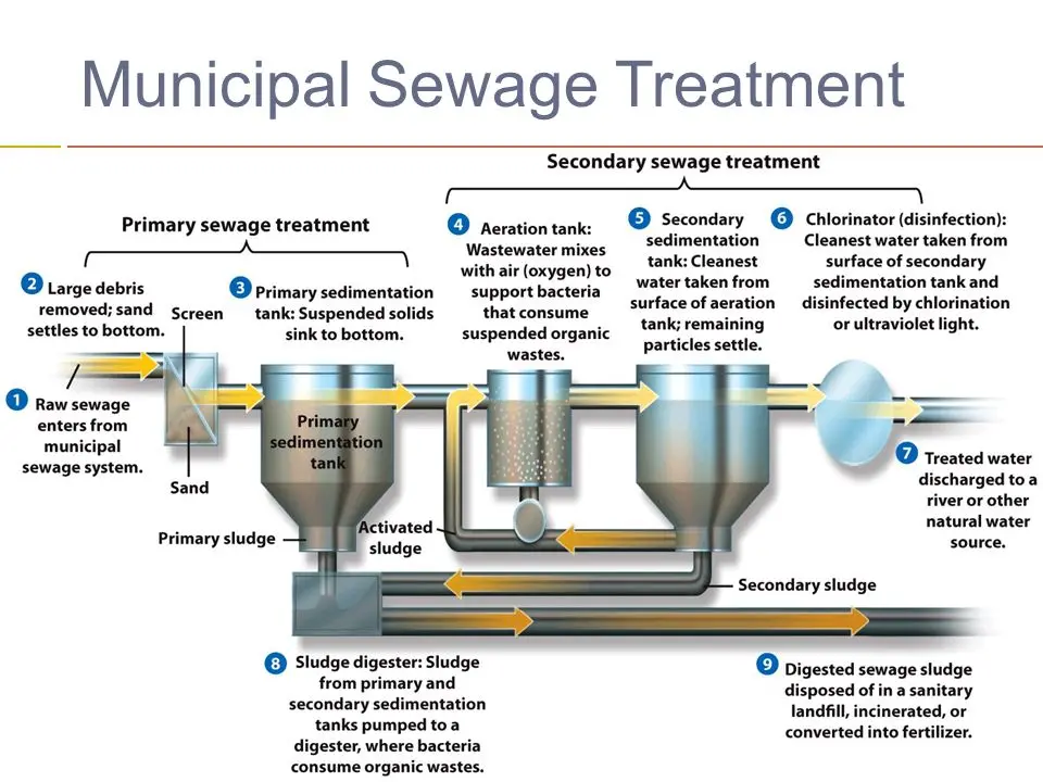 Municipal Sludge Treatment