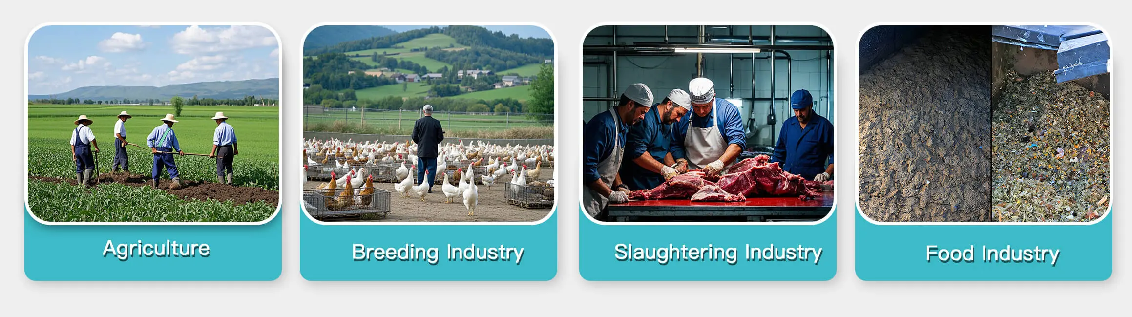 Usage Scenarios Display