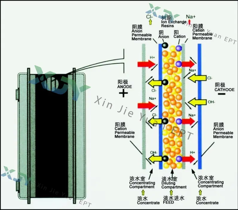 Key Components of EDI