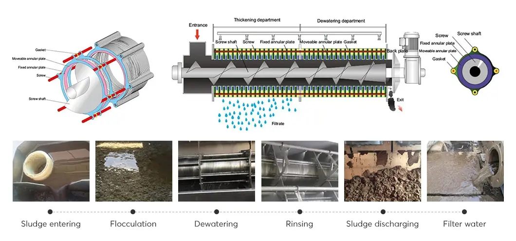 Sludge Dewatering Process