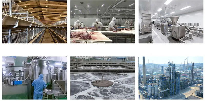 Deodorization Air Odour Control