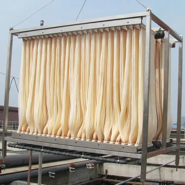 mbr membrane classification