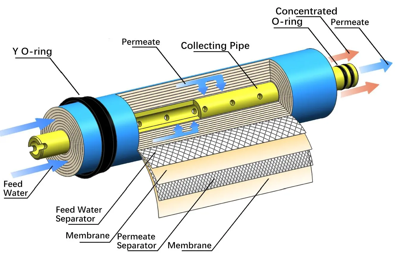 Membrane Components