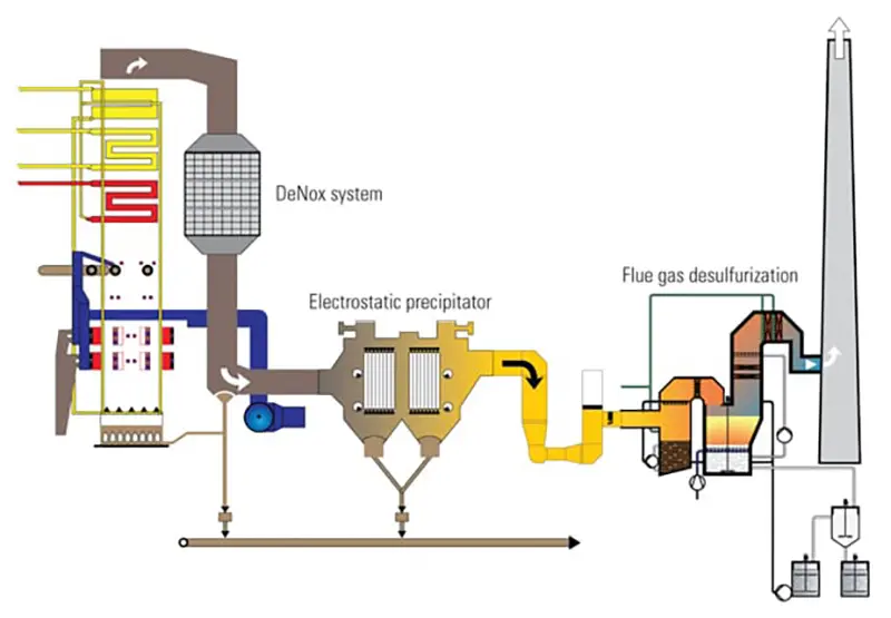 Cathode and Anode System