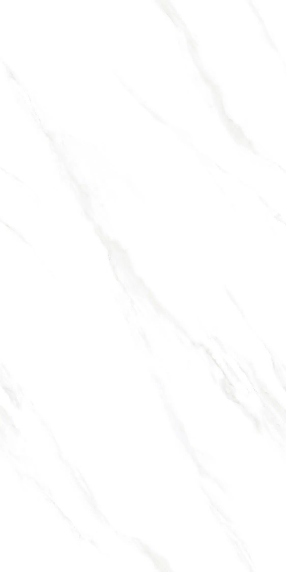 Polished Marble Glazed Porcelain Floor Tile 600X1200mm (24"X48")