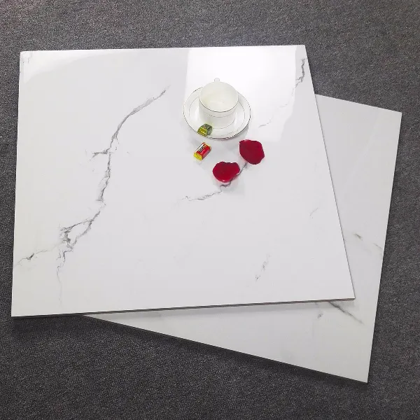 Porcelain Floor Tile 1