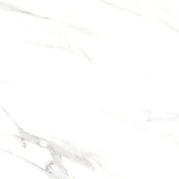 Porcelain Floor Tile 5