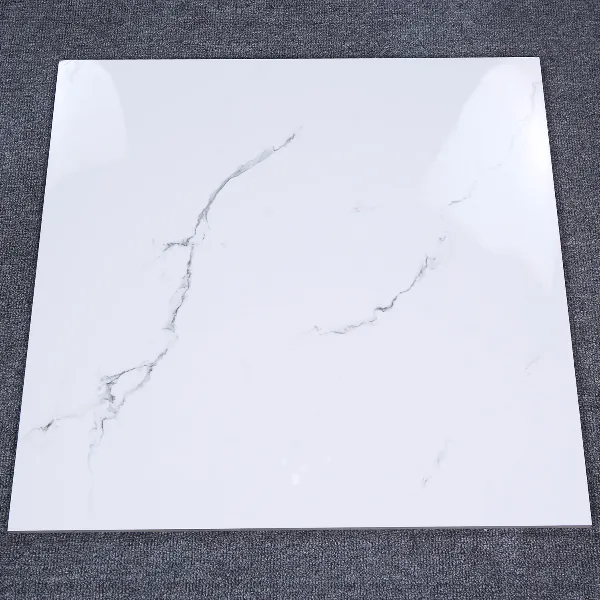 Porcelain Floor Tile 2