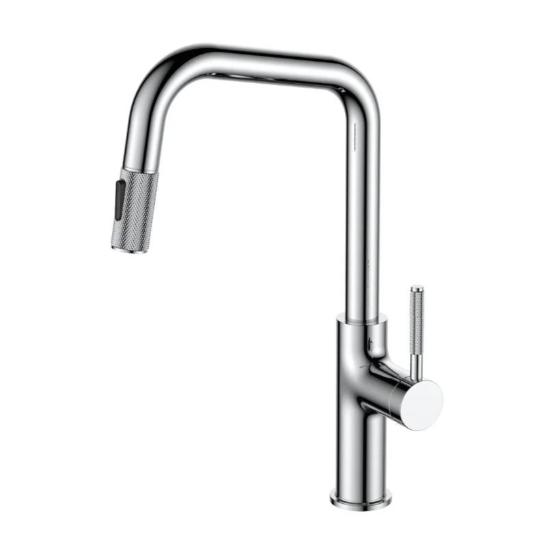 Kitchen Faucet View 2