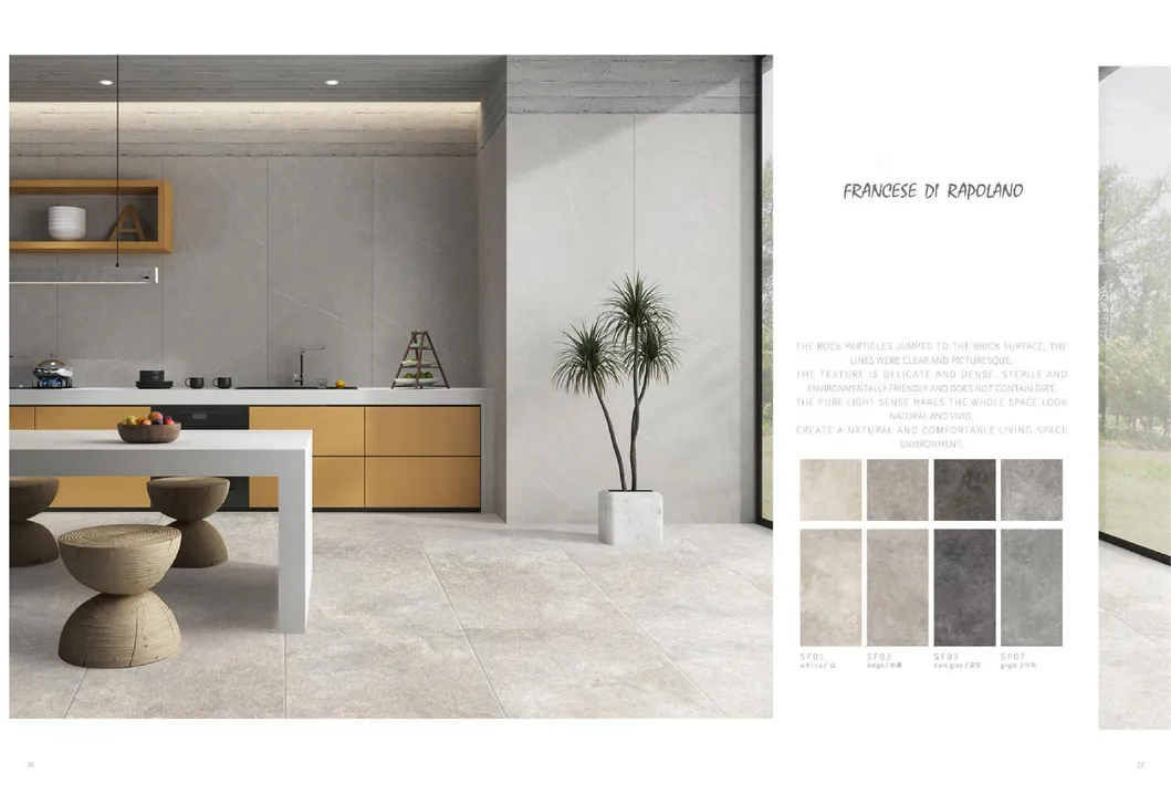 Matte Porcelain Interior Tile
