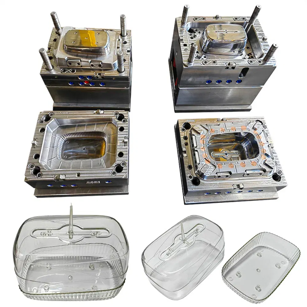 Plastic Housing Prototype Molding Tooling PC Injection Mould