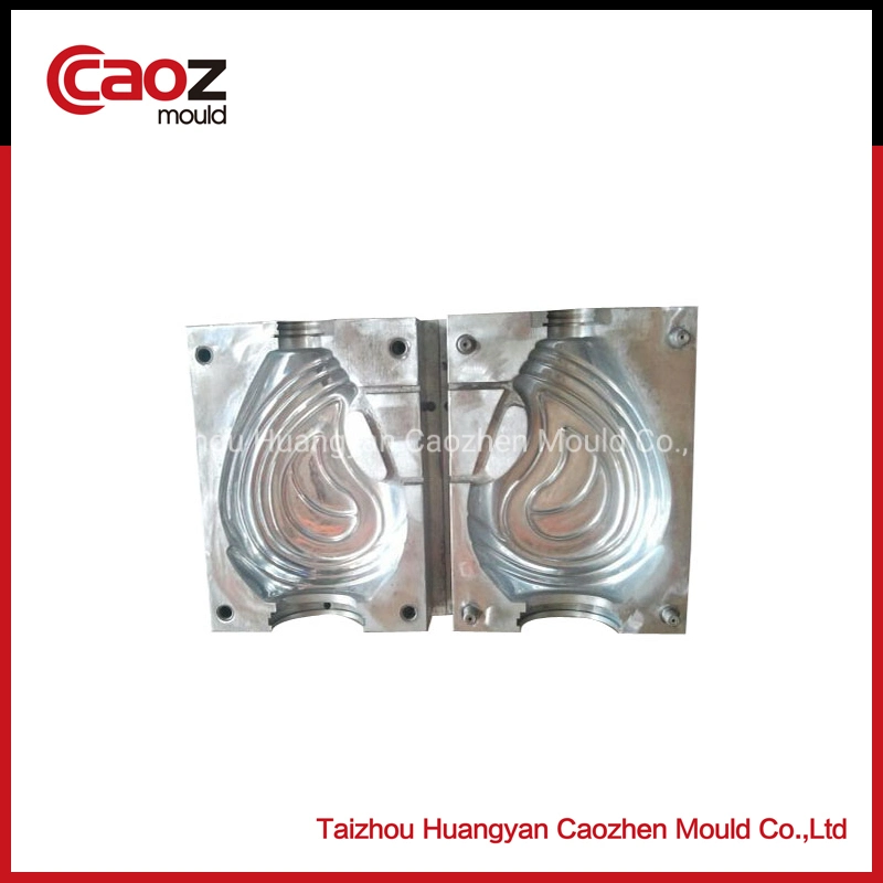 5L Plastic Pet Bottle Blow Mold with Good Quality (CZ-968)