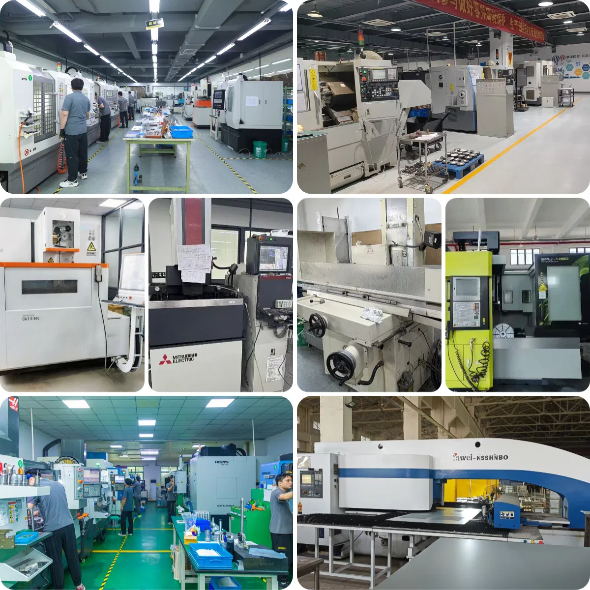 Processing Equipment