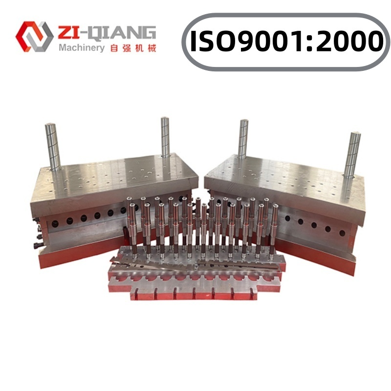 Injection Blow Mould for Plastic Bottles Multi Cavity Good Quality