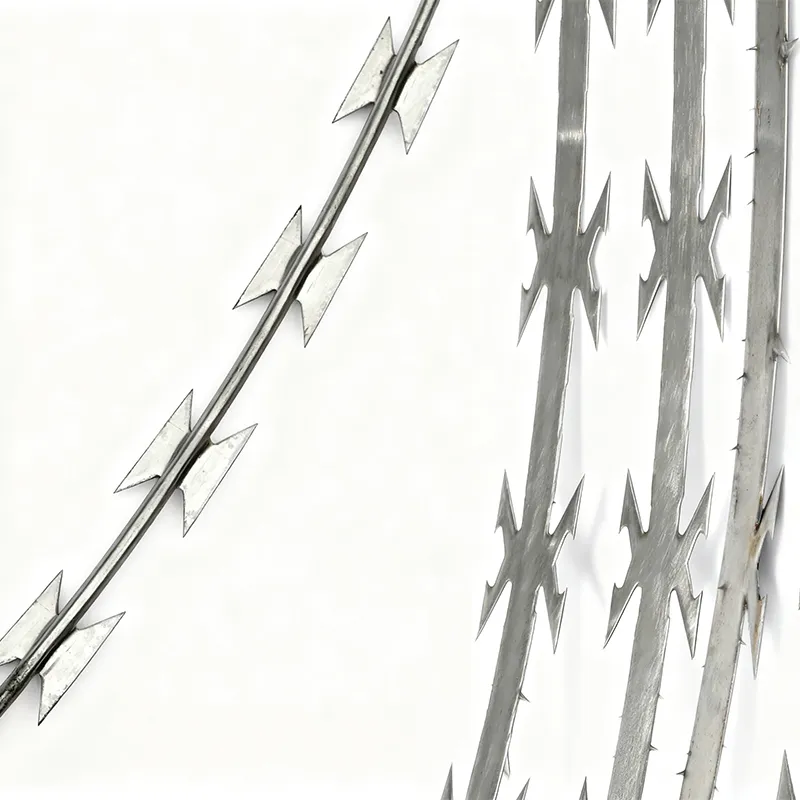 Razor Wire Detail 2