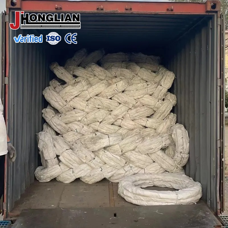 Double Strand Reinforced Razor Barbed Wire Barrier System