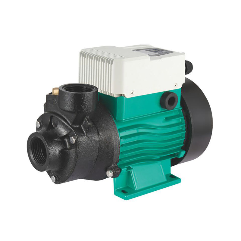 Reliable Sqb Solar Submersible Pump with Panel for Water Management