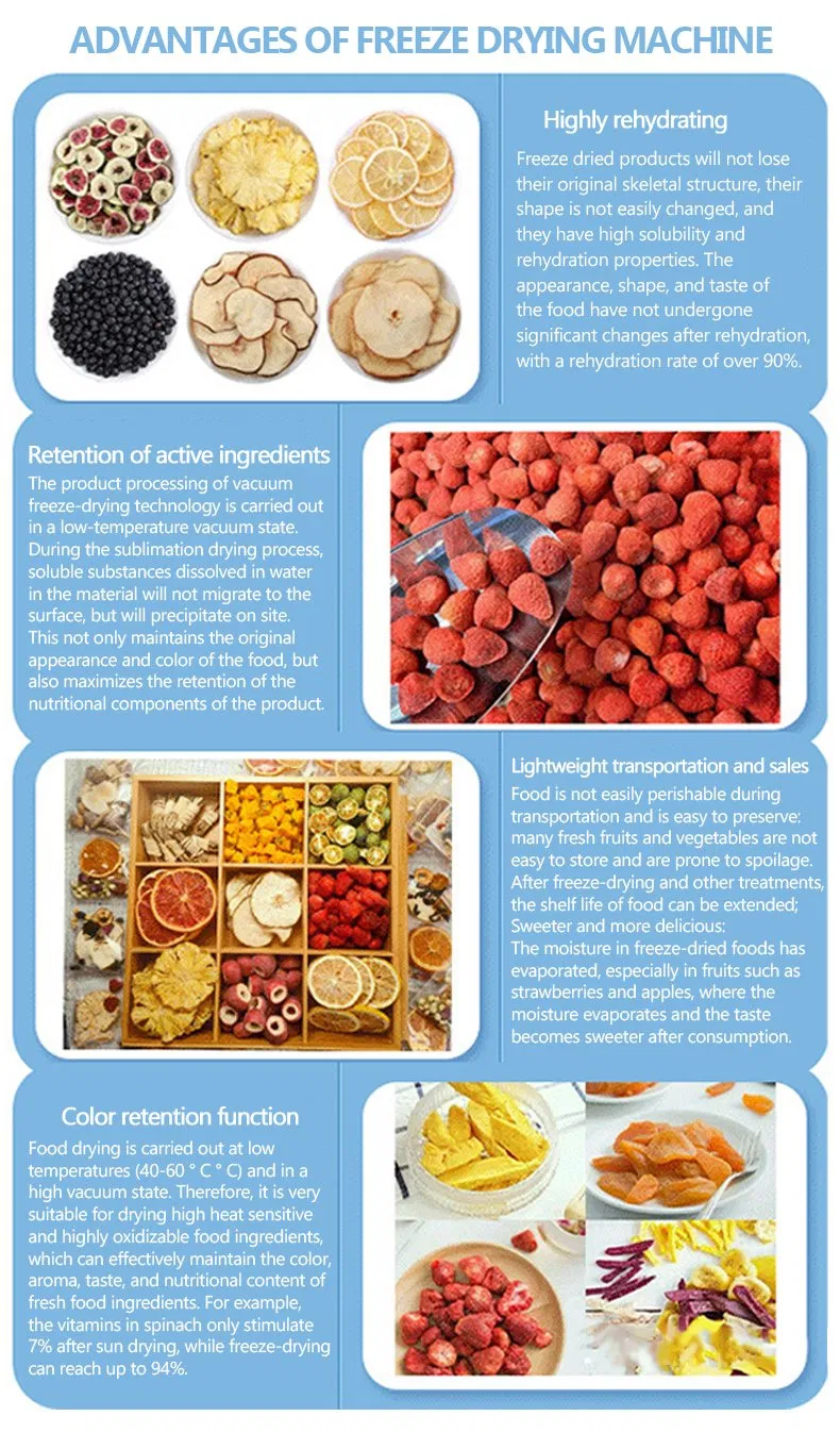 Industrial Freeze Dryer Details 2
