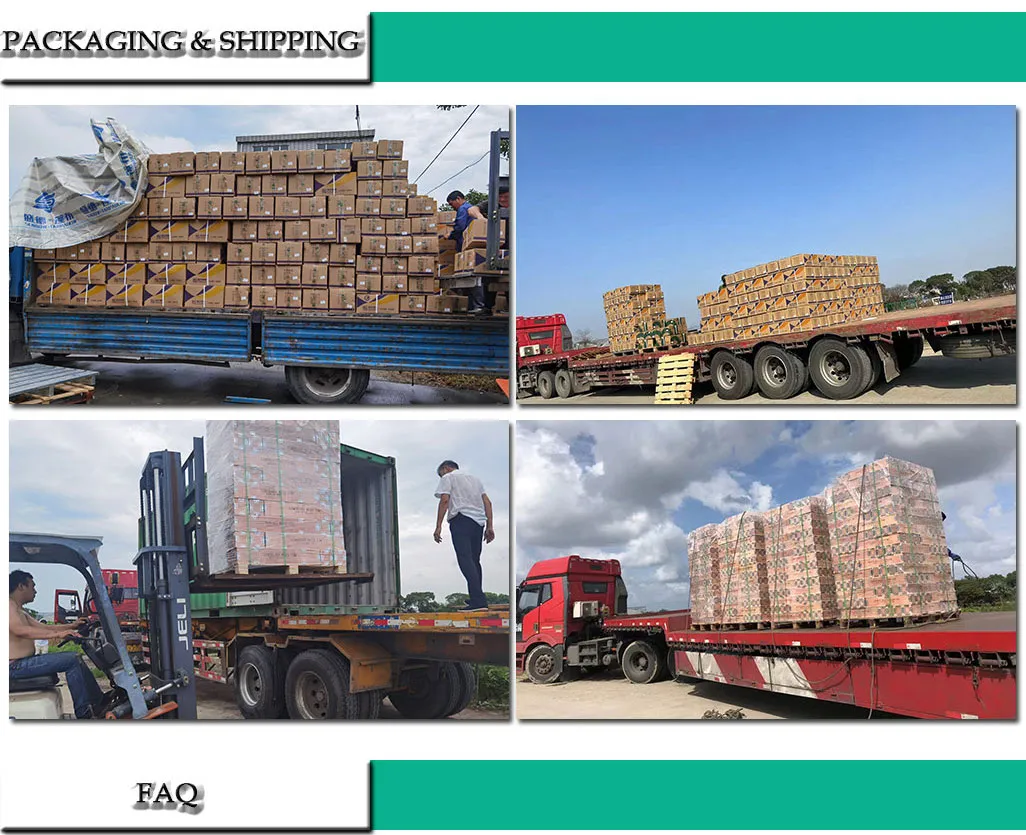 Manufacturing Process 4