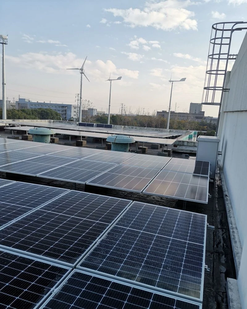 Professional off Grid System Solution Plan with Solar Wind Hybrid Power Supply