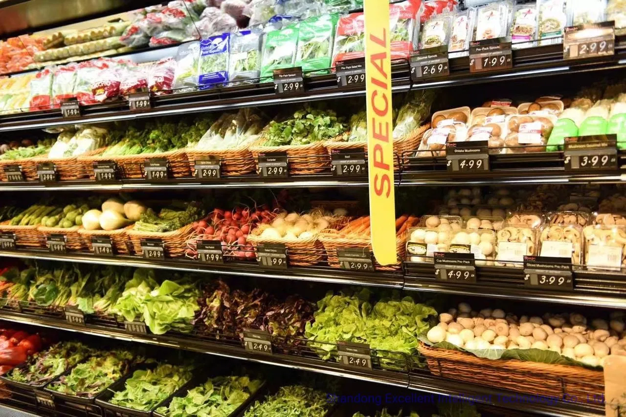 Supermarket Remote Type Multideck Display Cabinet Upright Carel Controller Commercial Refrigerator Freezer