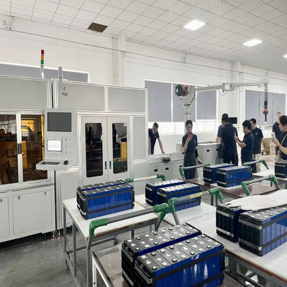 LiFePO4 Battery Pack 1