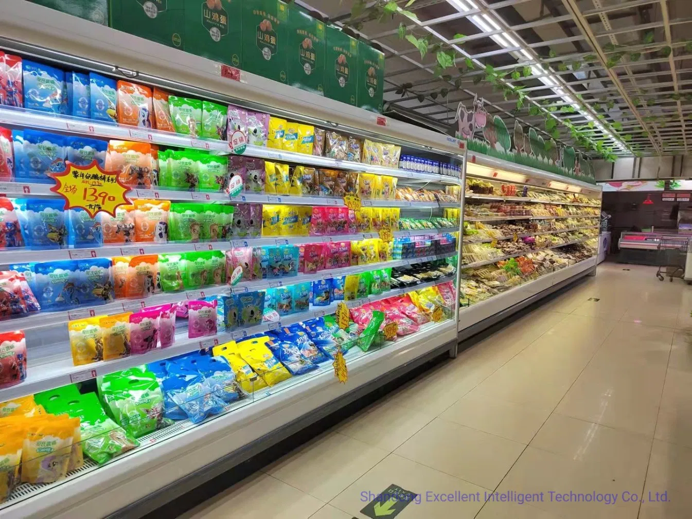 Supermarket Remote Type Multideck Display Cabinet Upright Carel Controller Commercial Refrigerator Freezer