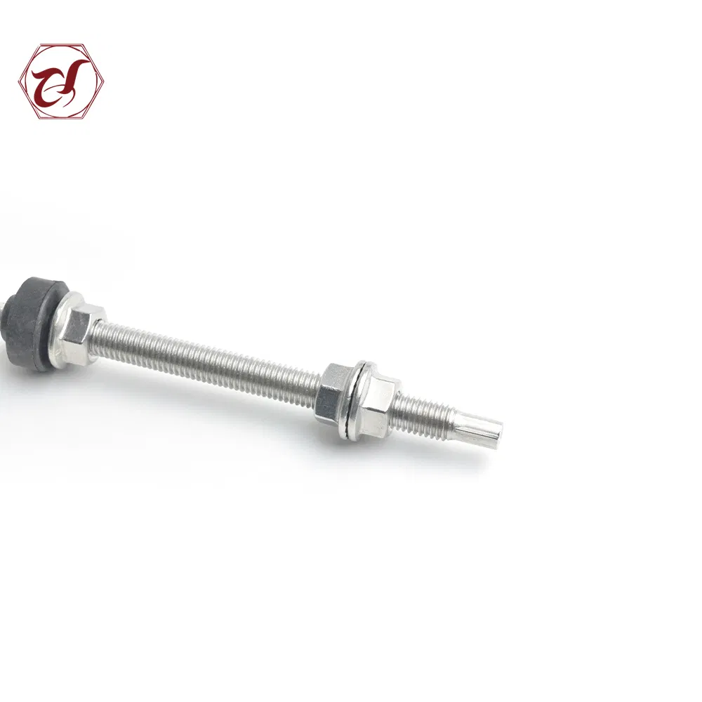 Stainless Steel Solar Panel Mounting Double Threaded Hanger Bolt M10X200/250mm for Buliding Constuction with Flange Nut