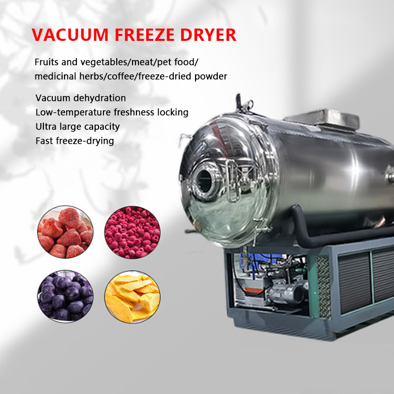 Fruit Commercial Industrial Freeze-Drying Machine Vegetable Vacuum Freeze Dryer