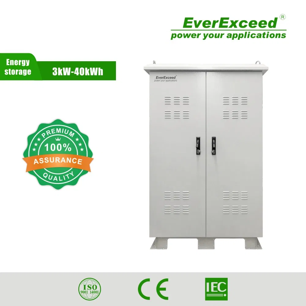 High Performance Everexceed 220VAC Solar Outdoor off Grid Ess Power System Energy Storage Solution