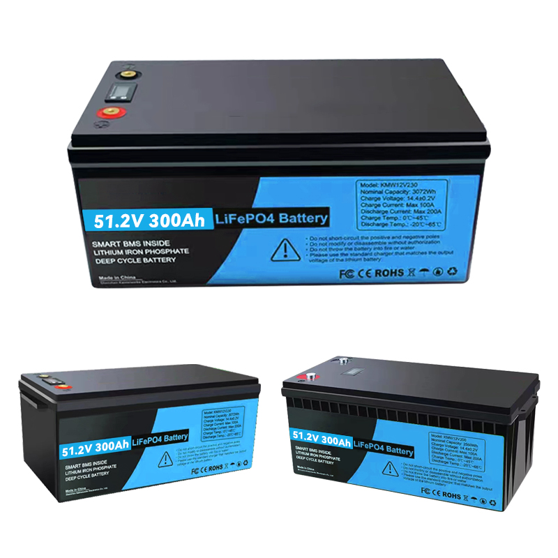 51.2V 300ah 200ah 100ah Industrial LiFePO4 Battery Pack with BMS, for Large Scale Solar Energy Storage, Telecom Base Stations and Microgrids