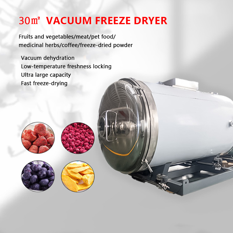 Fruit Commercial Industrial Freeze-Drying Machine Vegetable Vacuum Freeze Dryer