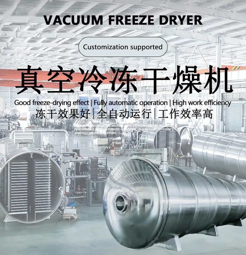 Fruit Commercial Industrial Freeze-Drying Machine
