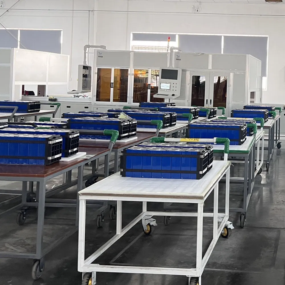 LiFePO4 Battery Pack 4