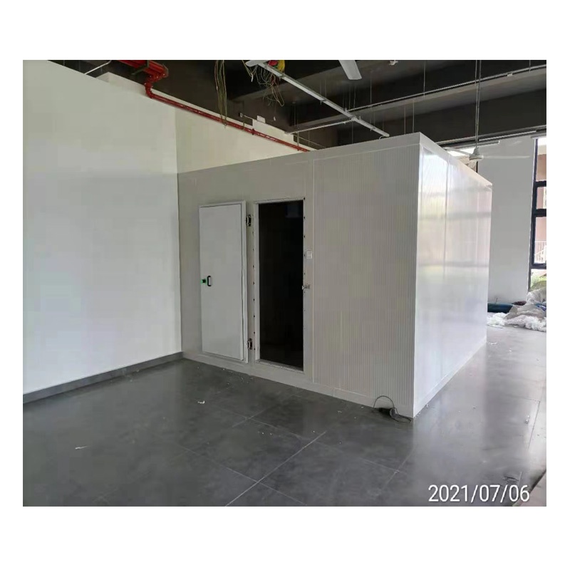 Insulated Hinged Door with Emerson Pump for Custom Cold Storage Marine Coolroom Walk-in Freezer Cold Rooms