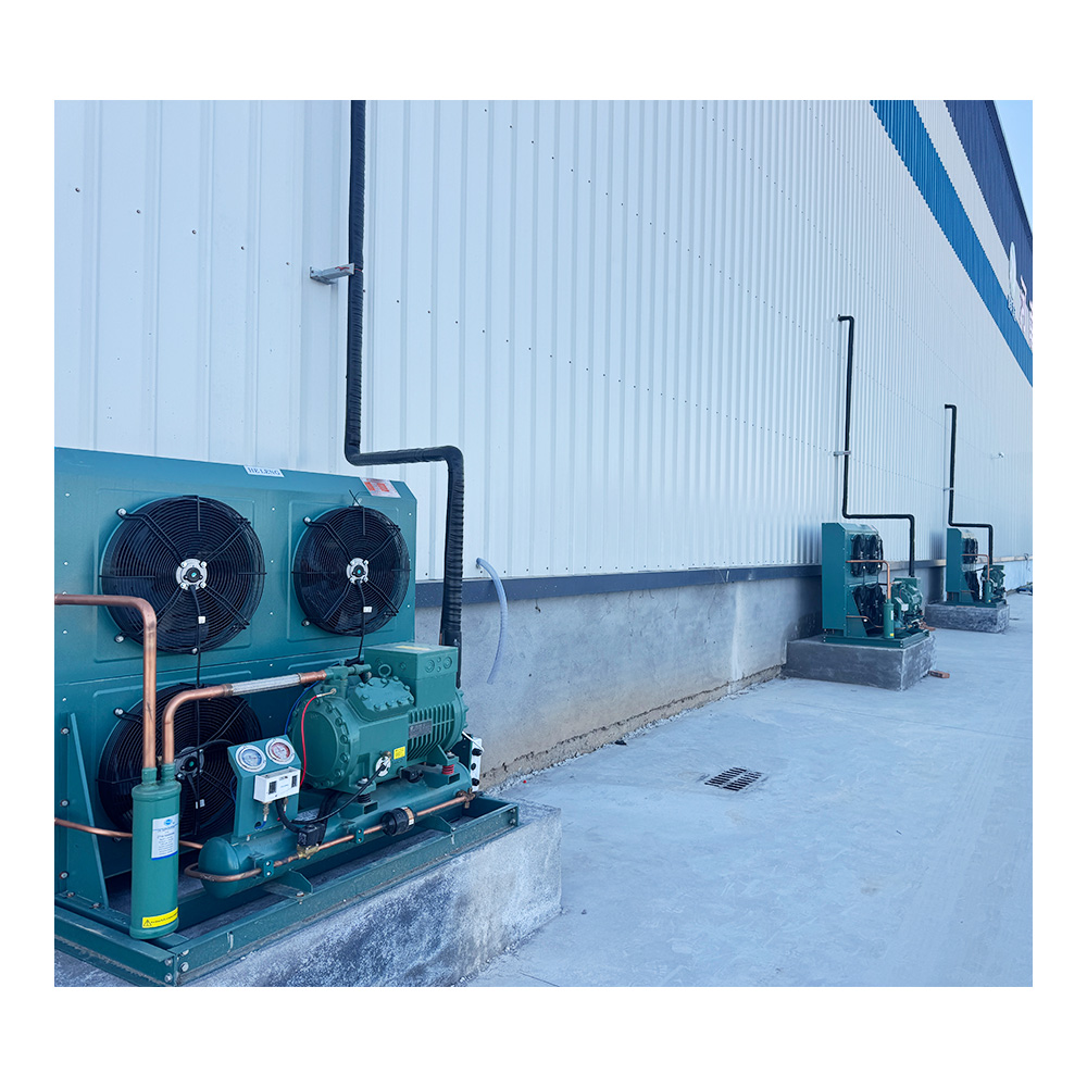 Large Logistics Warehouse Walk-in Freezer Cold Storage Room Daikin Energy Saving Customizable Dimensions For Vegetables